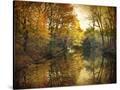 Stretched Canvas