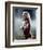 Jessica Lange - King Kong-null-Framed Photo