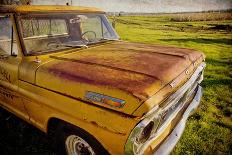 Ford 250-Jessica Rogers-Giclee Print