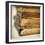 Black Frame