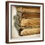 Brown Frame