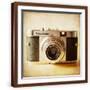 Brown Frame