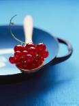 Redcurrants on Spoon-Jessica Shaver-Mounted Photographic Print