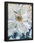 Essential Black