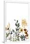 Gramercy White