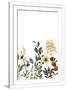 Gramercy White