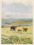 Picking Daffodils for the Market St. Mary's Scilly Isles-Jessie Mothersole-Laminated Art Print