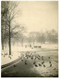 Washington Square North, New York, Usa, C.1905-40 (Gelatin Silver Photo)-Jessie Tarbox Beals-Giclee Print