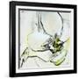 Jesting II-Leila-Framed Giclee Print