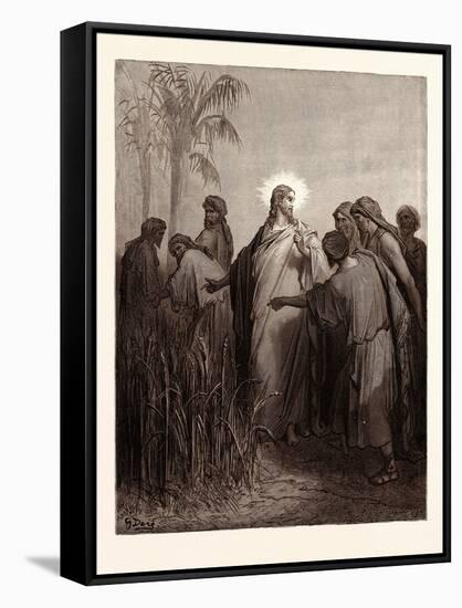 Jesus and His Disciples in the Corn Field-Gustave Dore-Framed Stretched Canvas