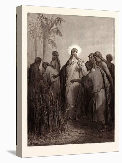 Jesus and His Disciples in the Corn Field-Gustave Dore-Stretched Canvas