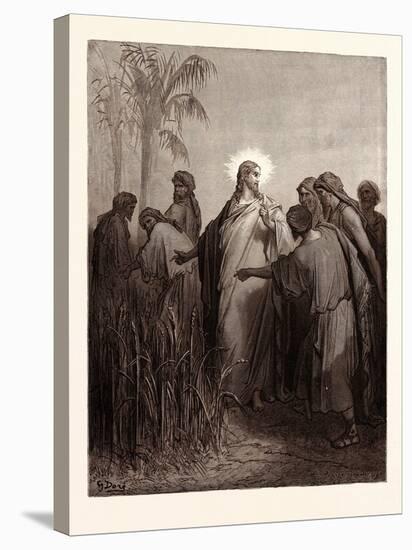 Jesus and His Disciples in the Corn Field-Gustave Dore-Stretched Canvas