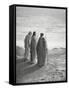 Jesus and the Disciples of Emmaus. Engraving. 19th Century.-null-Framed Stretched Canvas