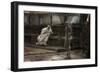 Jesus Before Pilate For the First Time-James Tissot-Framed Giclee Print