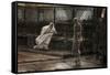 Jesus Before Pilate For the First Time-James Tissot-Framed Stretched Canvas