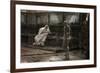 Jesus Before Pilate For the First Time-James Tissot-Framed Giclee Print