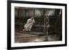 Jesus Before Pilate For the First Time-James Tissot-Framed Giclee Print