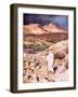 Jesus Being Led into the Wilderness to Be Tempted by the Devil-William Brassey Hole-Framed Giclee Print