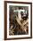 Jesus Christ Superstar, Ted Neeley, 1973-null-Framed Photo