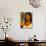 Jesus Christ Superstar, Ted Neeley, 1973-null-Mounted Photo displayed on a wall