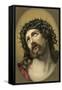 Jesus Christ with Crown of Thorns-null-Framed Stretched Canvas