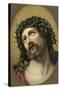 Jesus Christ with Crown of Thorns-null-Stretched Canvas