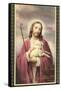 Jesus Christ with Lamb-null-Framed Stretched Canvas