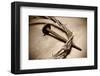 Jesus Crown of Thorns & Nail-null-Framed Premium Giclee Print