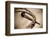 Jesus Crown of Thorns & Nail-null-Framed Premium Giclee Print