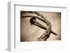 Jesus Crown of Thorns & Nail-null-Framed Premium Giclee Print