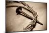 Jesus Crown of Thorns & Nail-null-Mounted Premium Giclee Print