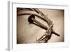 Jesus Crown of Thorns & Nail-null-Framed Art Print