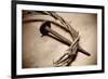 Jesus Crown of Thorns & Nail-null-Framed Art Print