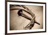 Jesus Crown of Thorns & Nail-null-Framed Art Print