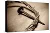 Jesus Crown of Thorns & Nail-null-Stretched Canvas