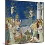 Jesus' Entry into Jerusalem, Detail from Life and Passion of Christ-Giotto di Bondone-Mounted Premium Giclee Print