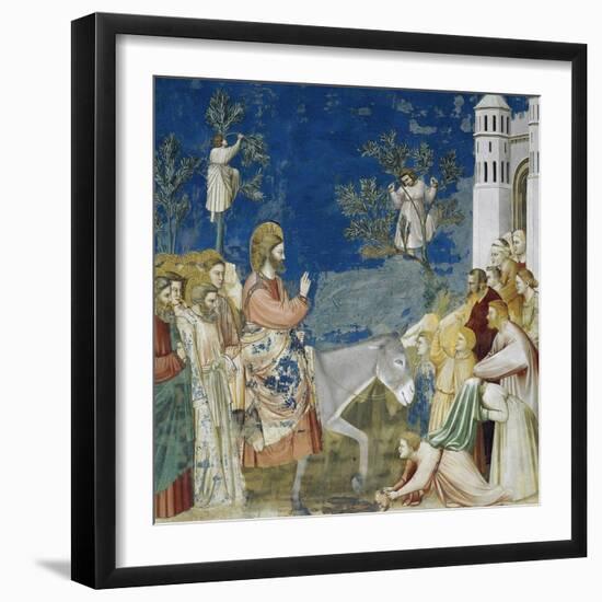 Jesus' Entry into Jerusalem, Detail from Life and Passion of Christ-Giotto di Bondone-Framed Giclee Print