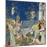 Jesus' Entry into Jerusalem, Detail from Life and Passion of Christ-Giotto di Bondone-Mounted Giclee Print