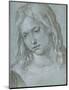 Jesus in the Age of Twelve-Albrecht Dürer-Mounted Collectable Print