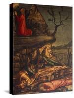 Jesus in the Garden of Gethsemane or Prayer in the Garden, 1502-1507-Vittore Carpaccio-Stretched Canvas