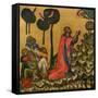 Jesus in the Olive Grove, C1350-null-Framed Stretched Canvas