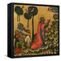 Jesus in the Olive Grove, C1350-null-Framed Stretched Canvas