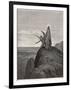 Jesus is Tempted by Satan in the Wilderness-Gustave Dor?-Framed Photographic Print