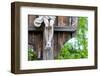 Jesus on the Cross, Detail-Alexander Georgiadis-Framed Photographic Print