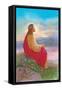 Jesus Sitting on a Rock Praying-Christo Monti-Framed Stretched Canvas