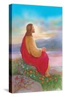 Jesus Sitting on a Rock Praying-Christo Monti-Stretched Canvas