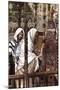 Jesus Teaching in the Synagogue, C1897-James Jacques Joseph Tissot-Mounted Giclee Print