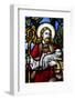 Jesus the Good Shepherd, 19th century stained glass in St. John's Anglican church, Sydney-Godong-Framed Photographic Print