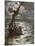 Jesus Walking Upon the Sea-William Brassey Hole-Mounted Giclee Print