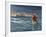 Jesus Walks on the Water of the Sea of Galilee-null-Framed Giclee Print